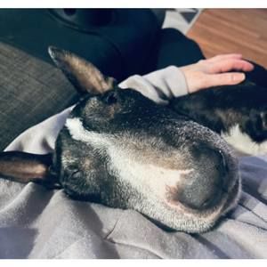 Meet your Posher, Denise